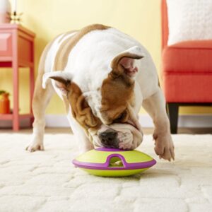 Dog Interactive toys