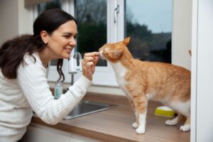 Homemade Cat Treats