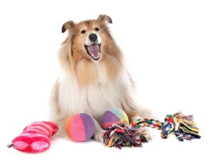 Homemade Dog Toys