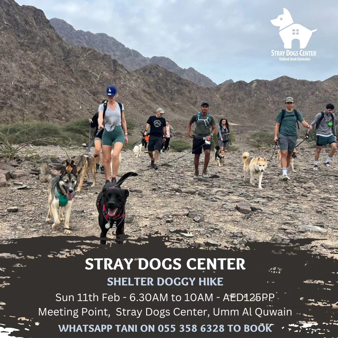 shelter doggy hike