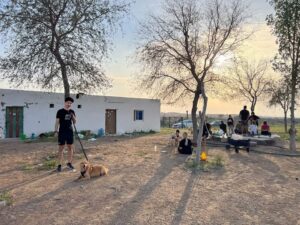 Stray Dogs Center land