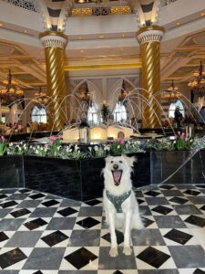 Jumeirah Zabeel Saray