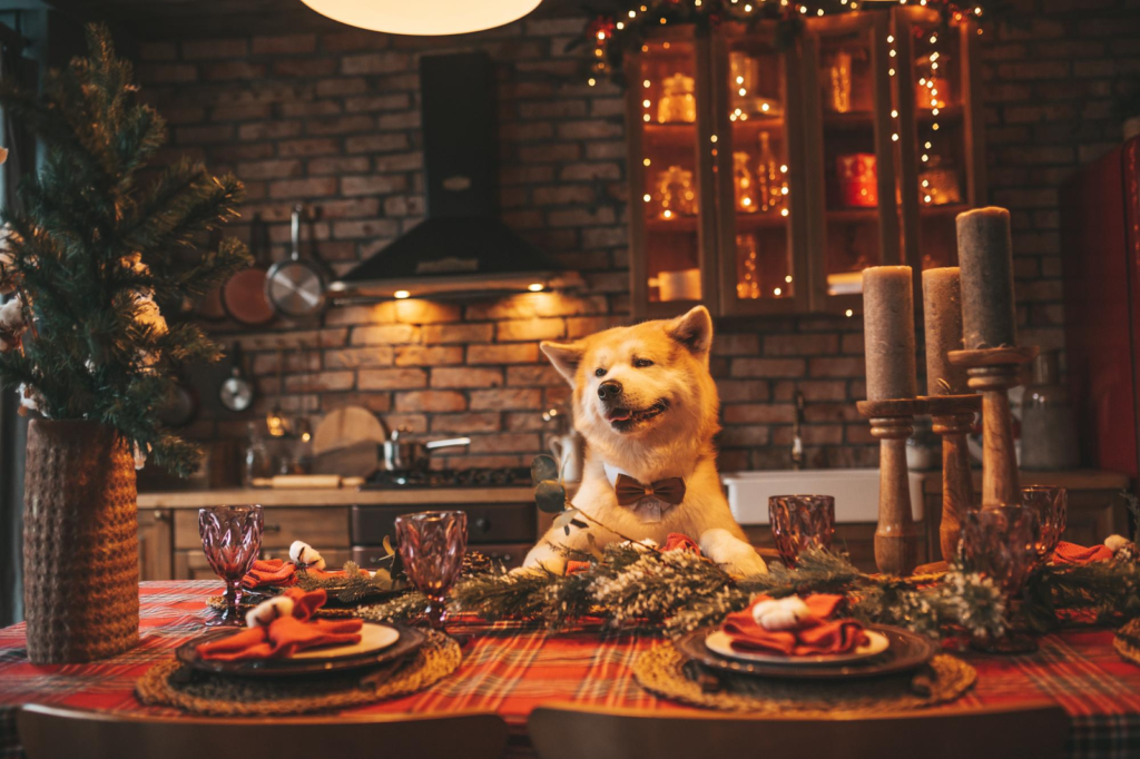 dog friendly Christmas dinner