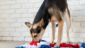 Dog Snuffle Mat