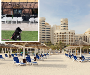 Pet friendly hotels RAK